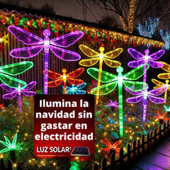 GUIRNALDA DE LUCES SOLARES